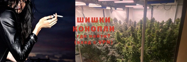ПСИЛОЦИБИНОВЫЕ ГРИБЫ Нея