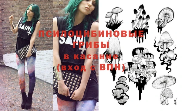 ПСИЛОЦИБИНОВЫЕ ГРИБЫ Нея