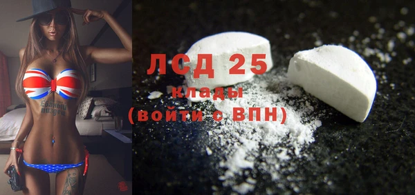 ПСИЛОЦИБИНОВЫЕ ГРИБЫ Нея