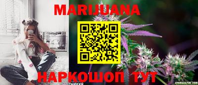 шишки Балашиха