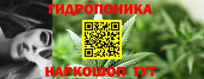 Альфа ПВП Гусиноозёрск