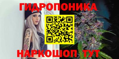 бошки Гусев