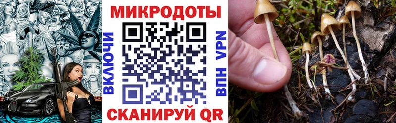 Галлюциногенные грибы мухоморы  нарко площадка официальный сайт  Когалым 