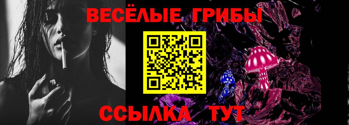 Псилоцибиновые грибы Cubensis Когалым